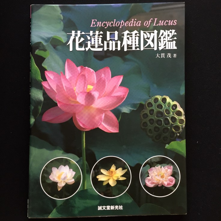 clareketon_tattoo_lotus