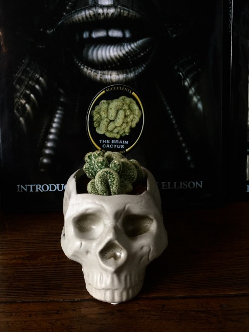 clareketon_tattoo_workinprogress