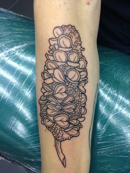 clareketontattoos_banksia_tattoo