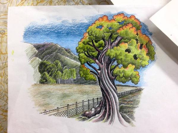 clareketontattoos_wip_tree_tattoo_sketch