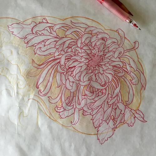 clareketon_tattoo_wip_freehandsketch_chrysanthemum