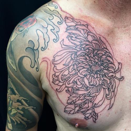 clareketontattoos_wip_outline_chrysanthemum