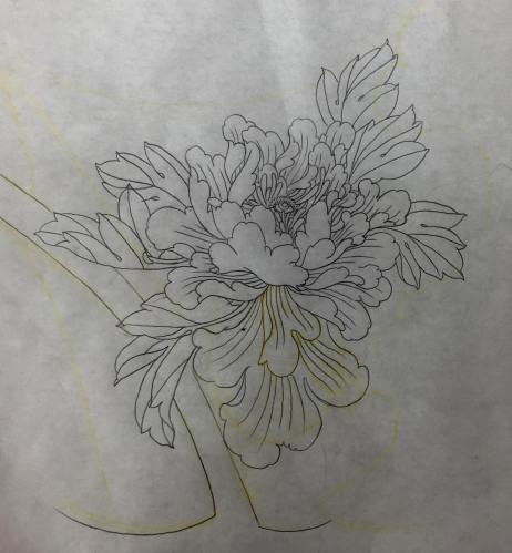 clareketontattoos_wip_peony_stencil_tattoo
