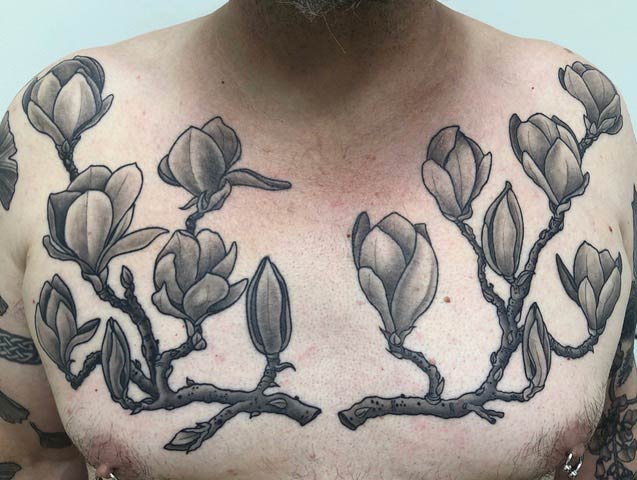 Ginkgo and Japanese Magnolia